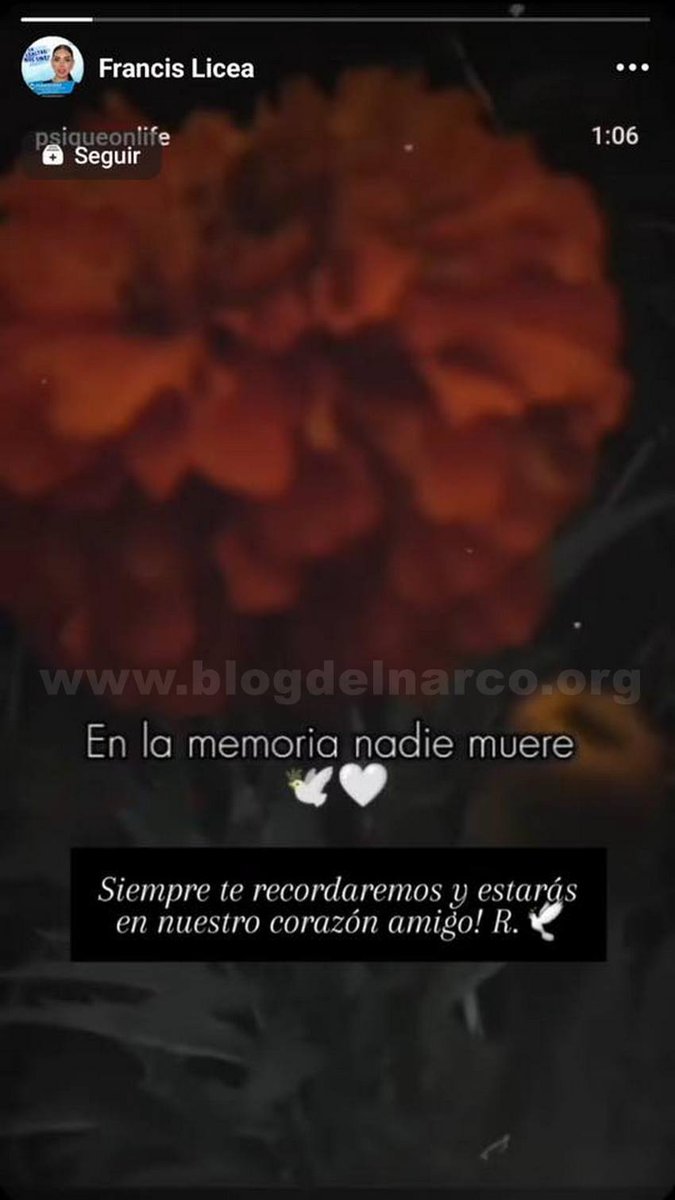 Blog del Narco México tweet media