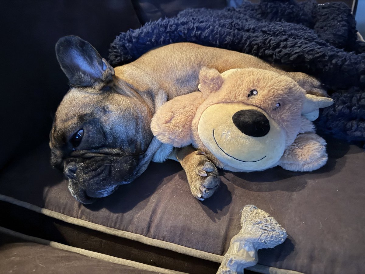 Amy Bazarnik Boroff tweet media