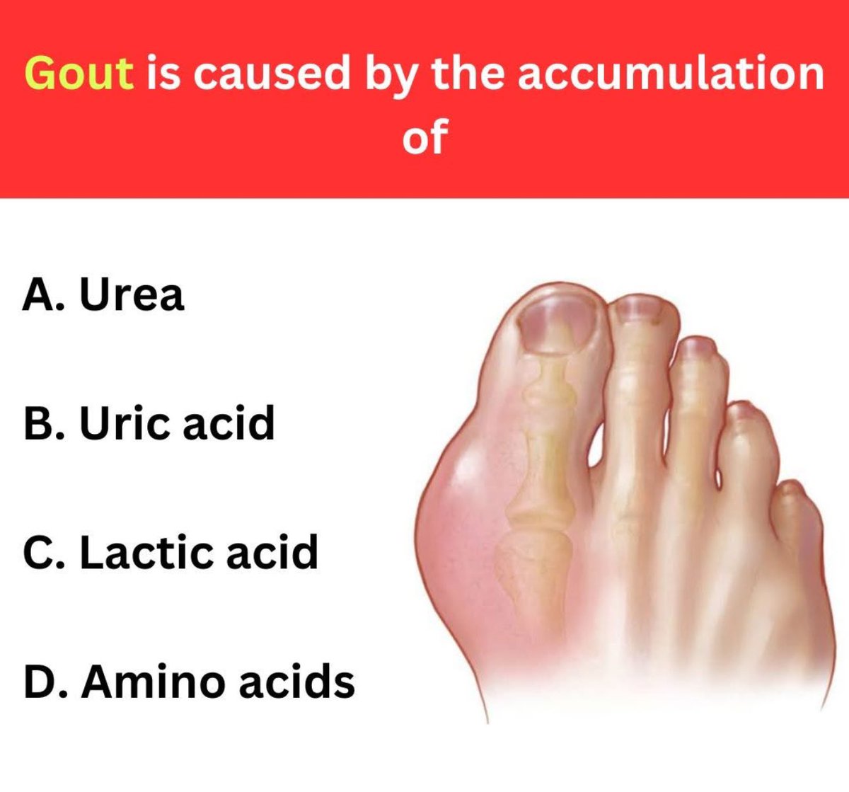 Dr. Medica🩺 tweet media