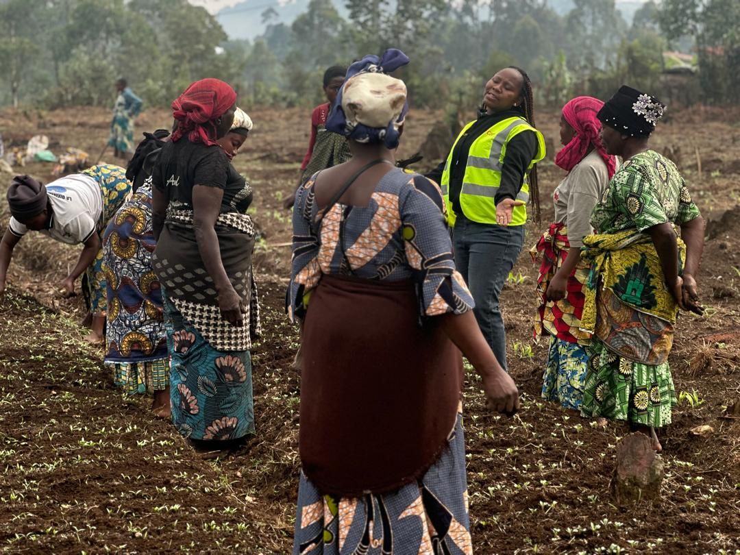 CARE DRC tweet media