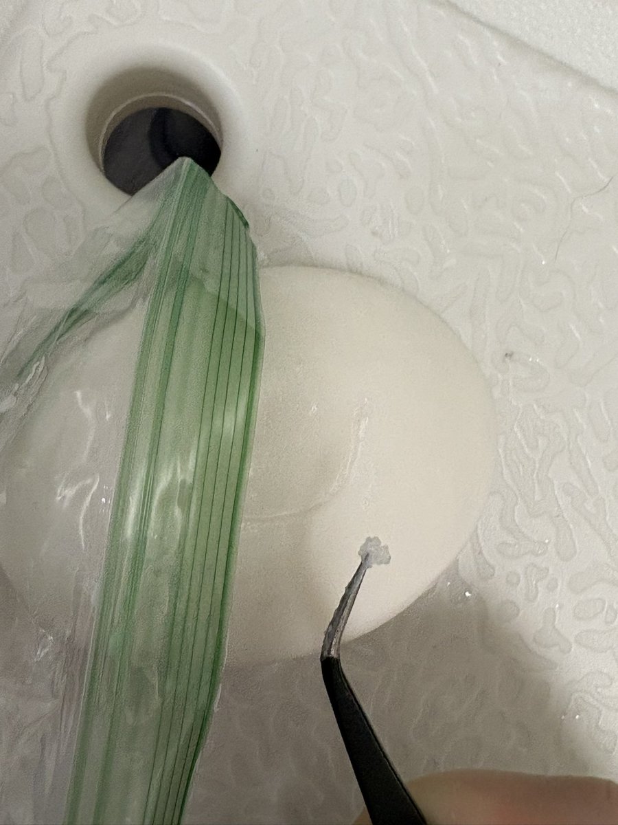 Kris⸆⸉ ོ❤️‍🔥 tweet media