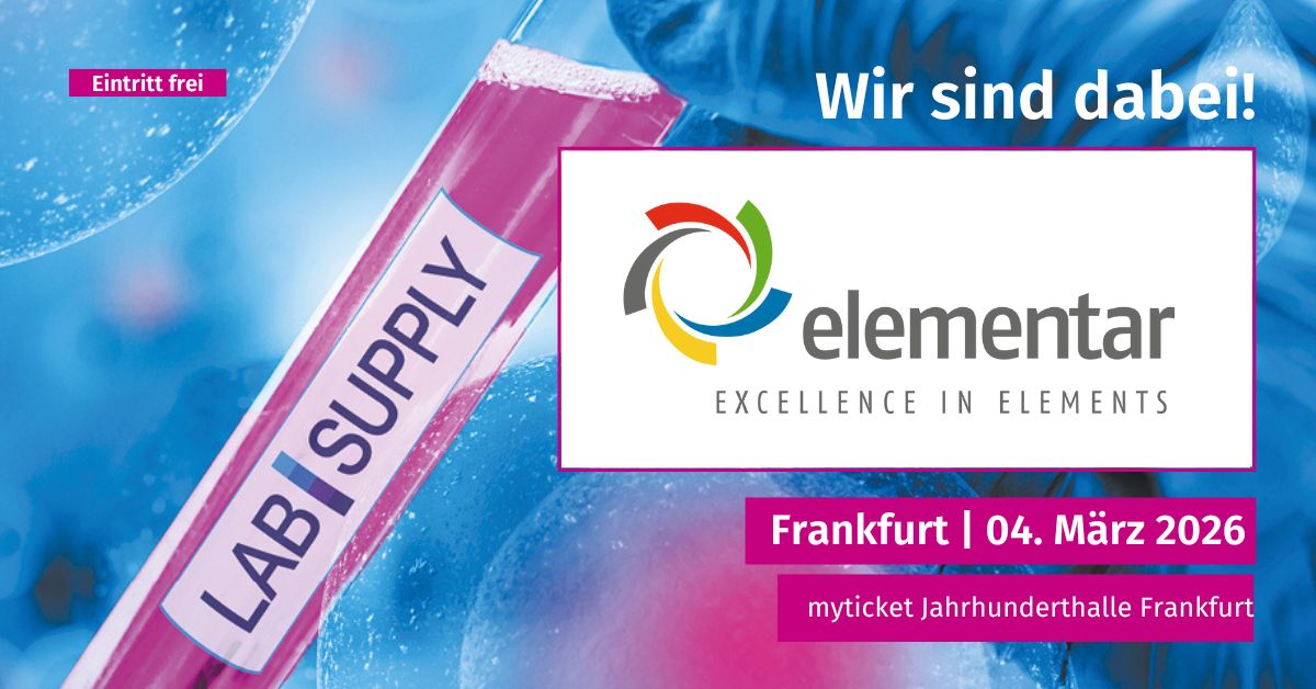 elementar tweet media