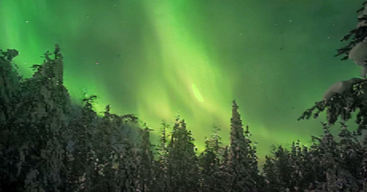 TeaMaria48's tweet photo. #nature #lapland #winter #valokuvaus #honor200prophotography #visitlapland #finland #auroraborealis #northenlights #sky #night https://t.co/bvWgvsNY2s