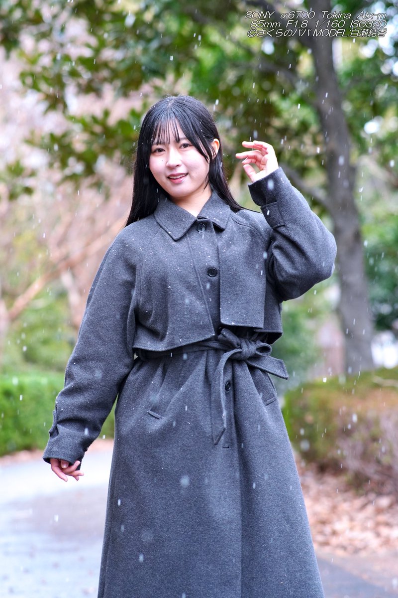 🇺🇦さくら🐇のパパ🇯🇵高配当株に移行中🇺🇦 (@K70_55) / Posts / X