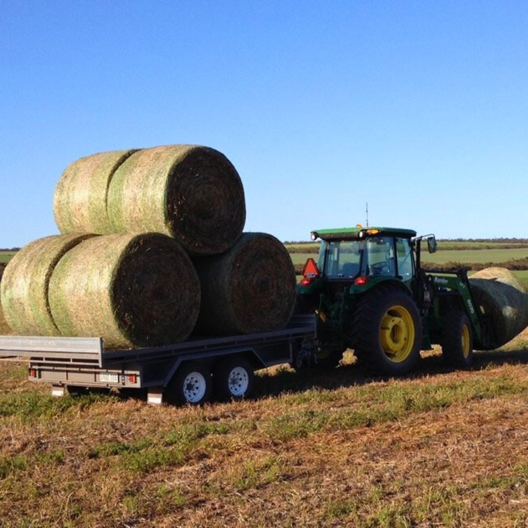 LIENERT ENGINEERING tweet media