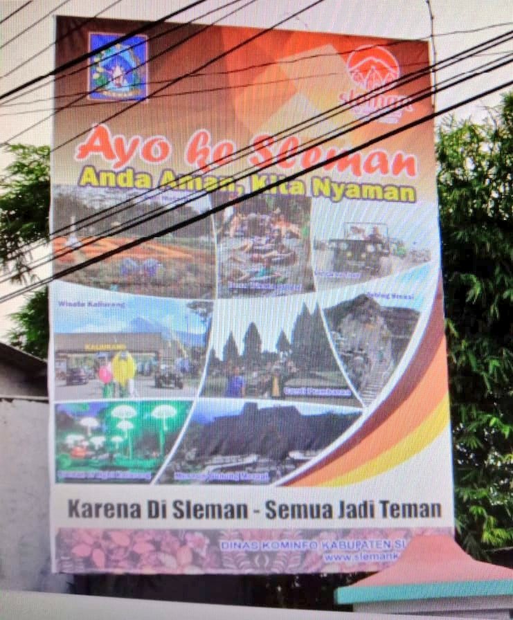 bluu ୧⍤⃝🌻 tweet media