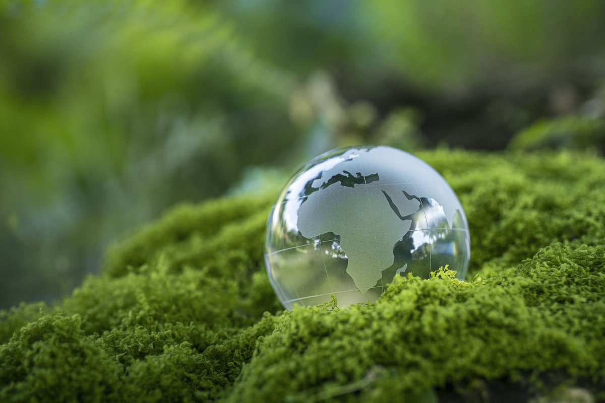 AKADEMIYA2063 tweet media