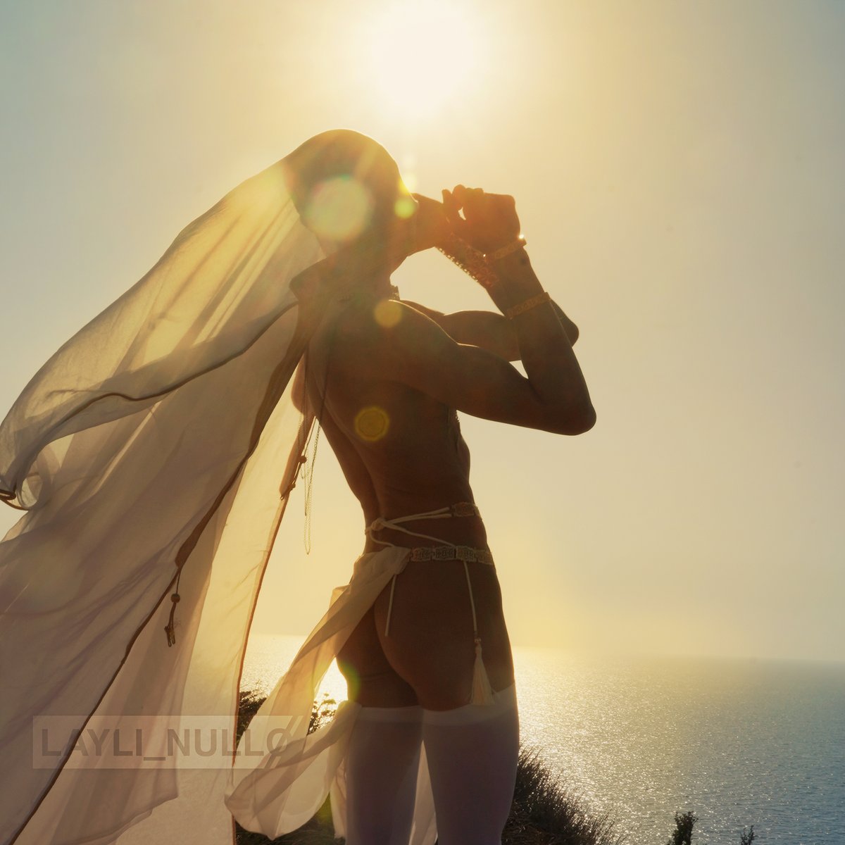 Layli Nullo tweet media