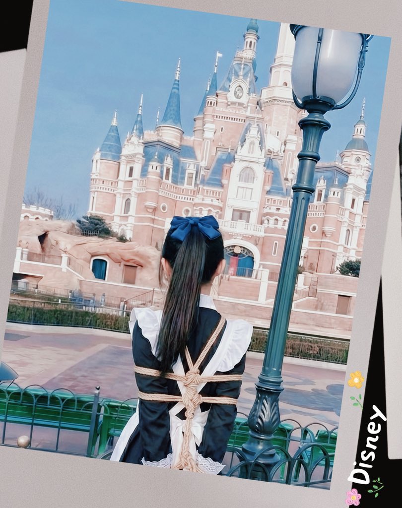 狸奴贪睡不知愁 tweet media