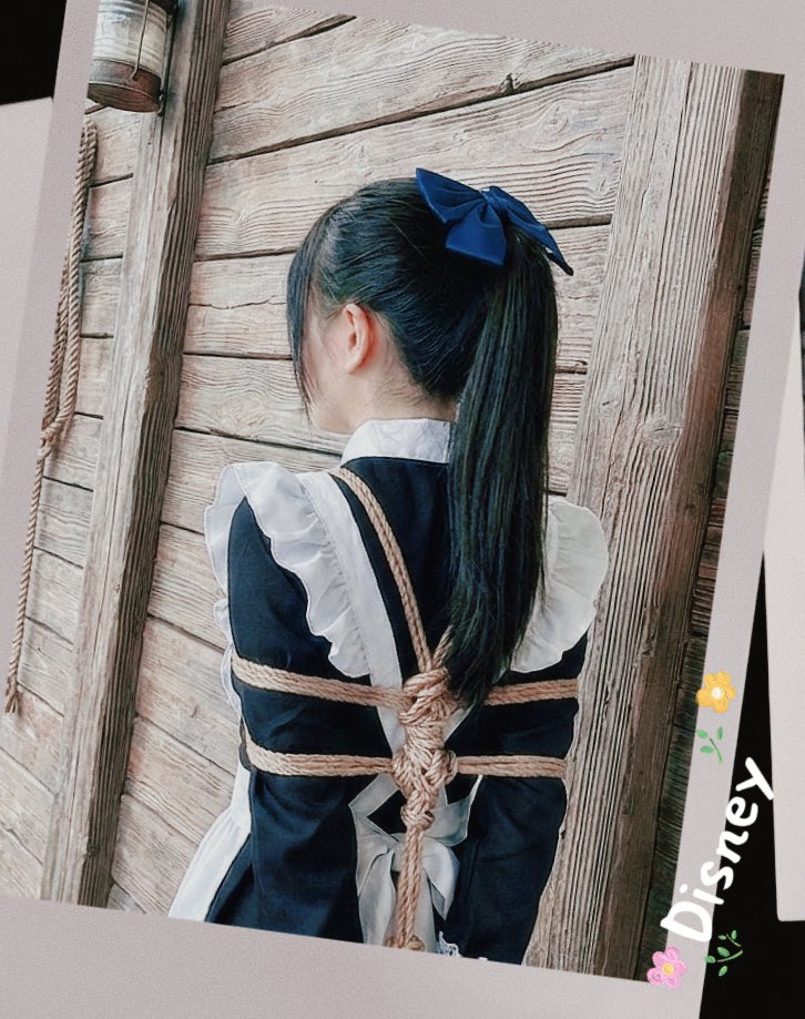 狸奴贪睡不知愁 tweet media