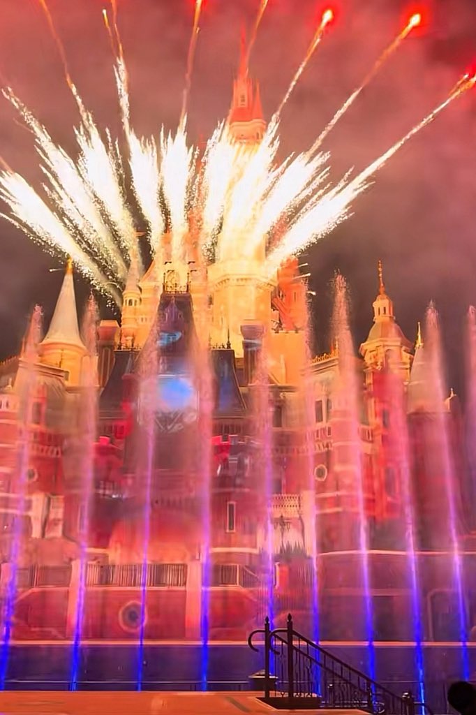 狸奴贪睡不知愁 tweet media