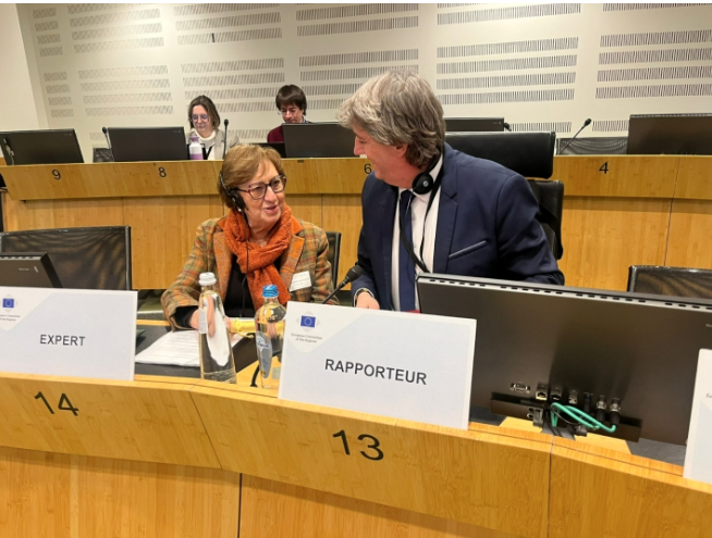 UCMGeo's tweet photo. Nuestra compañera Mercedes Molina @UCMGeo ha participado en el Comité de las Regiones como experta técnica y coordinadora del informe que defiende blindar el Fondo Social Europeo Plus. ¡Enhorabuena Mercedes!
https://t.co/Sb2m3WgXqK” https://t.co/qbsryjXvD0