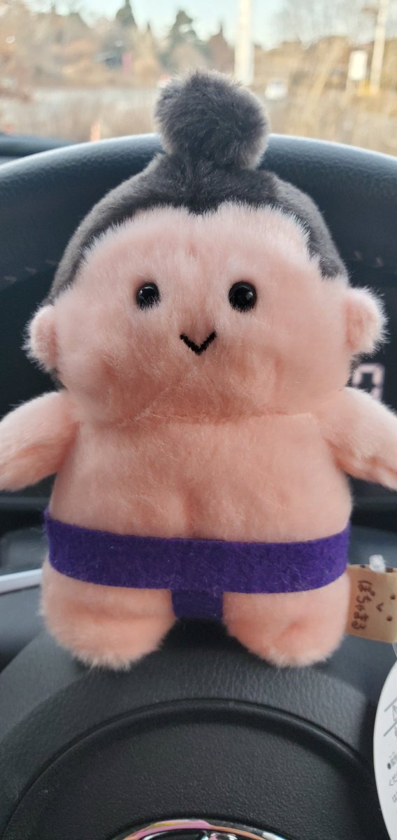 KKK__chan's tweet photo. 仕事の帰り道、つぶらな瞳と目があって…
思わず衝動買いしてしまいました😍 https://t.co/INZ30FmTBL