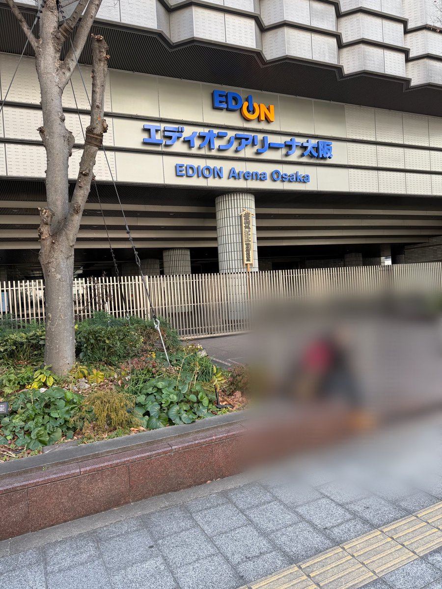 Ringo⭐️ (@Ringo_Tommy1222) / Posts / X