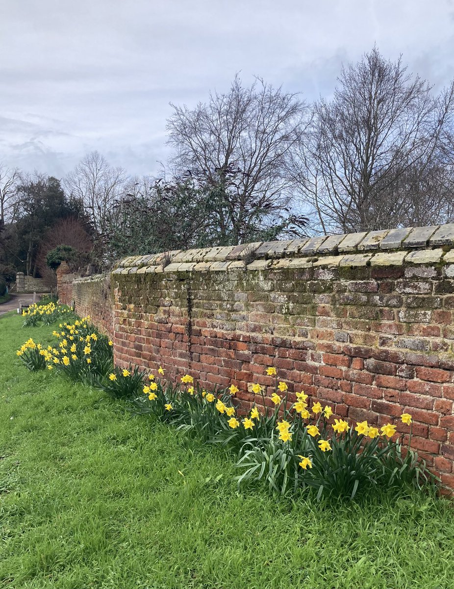 Sandy De Born tweet media