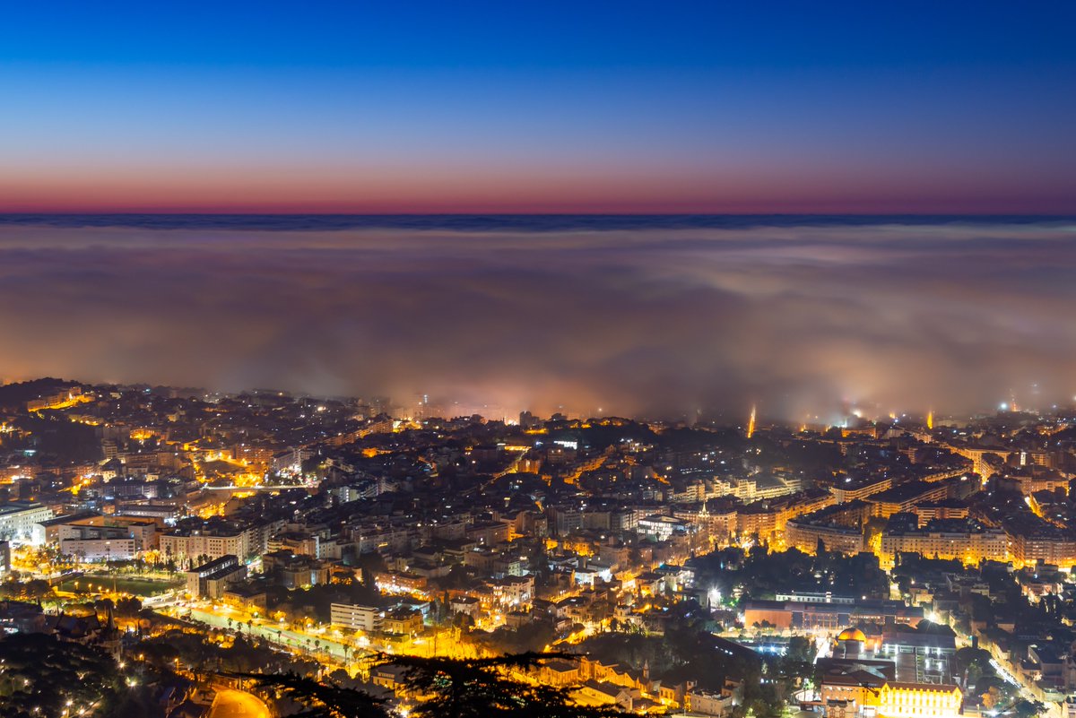 Alfons Puertas tweet media