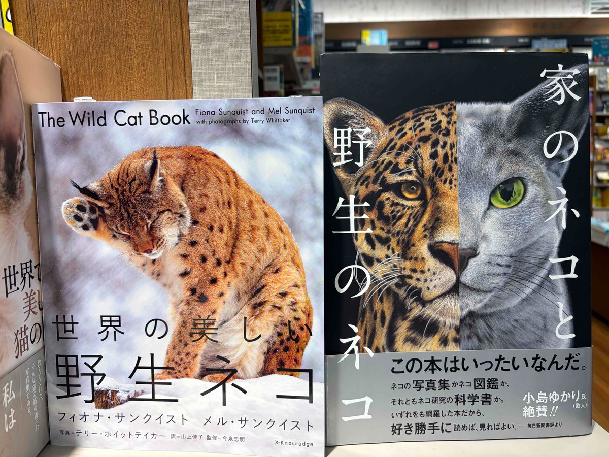 🐈【自然科学】🐈 2/25放送の「#マツコの知らない世界 」の特集は