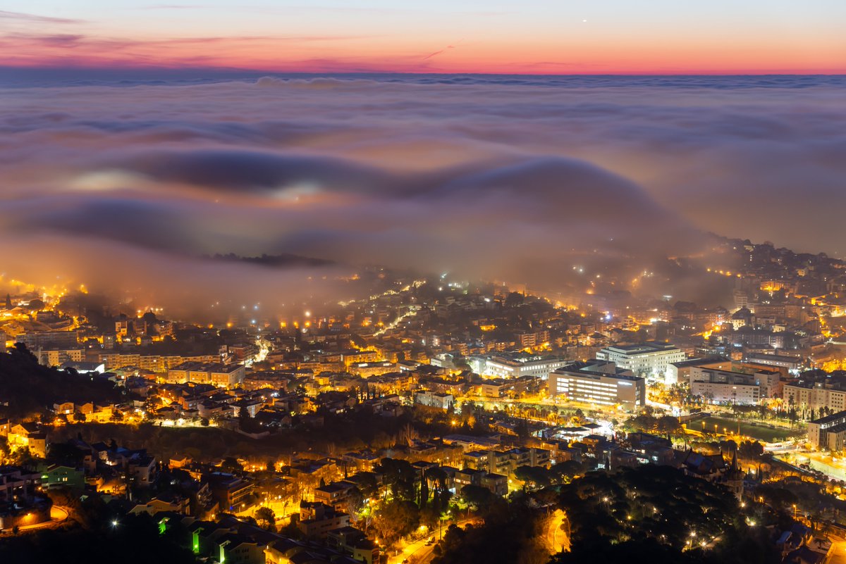 Alfons Puertas tweet media