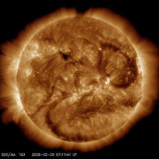 SCiESMEX/LANCE/UNAM tweet media