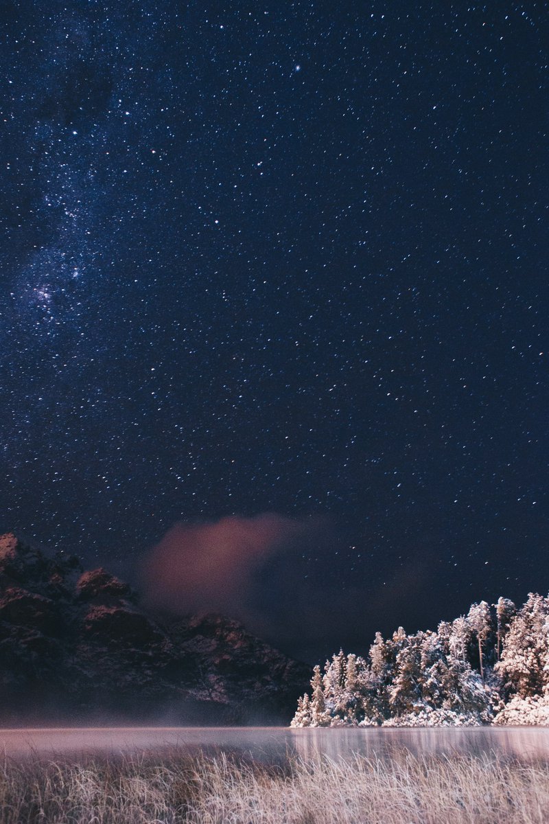 purenature_1's tweet image. Under winter stars ❄️✨ #Stargazing
