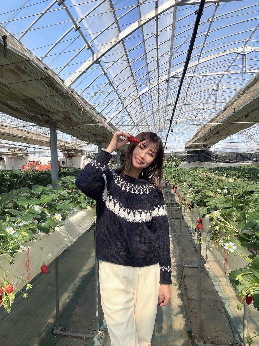 mana_0619's tweet photo. 今年も狩に行ってます🍓 https://t.co/iCkajLIX7U