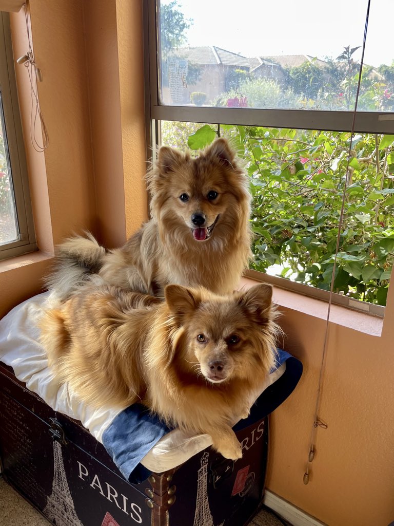 My beautiful boys 🥰