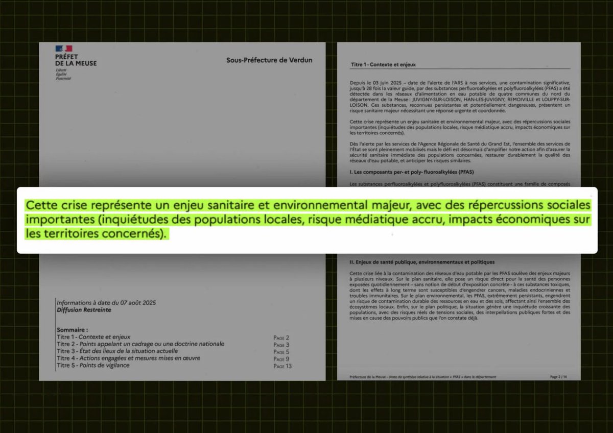 Disclose tweet media