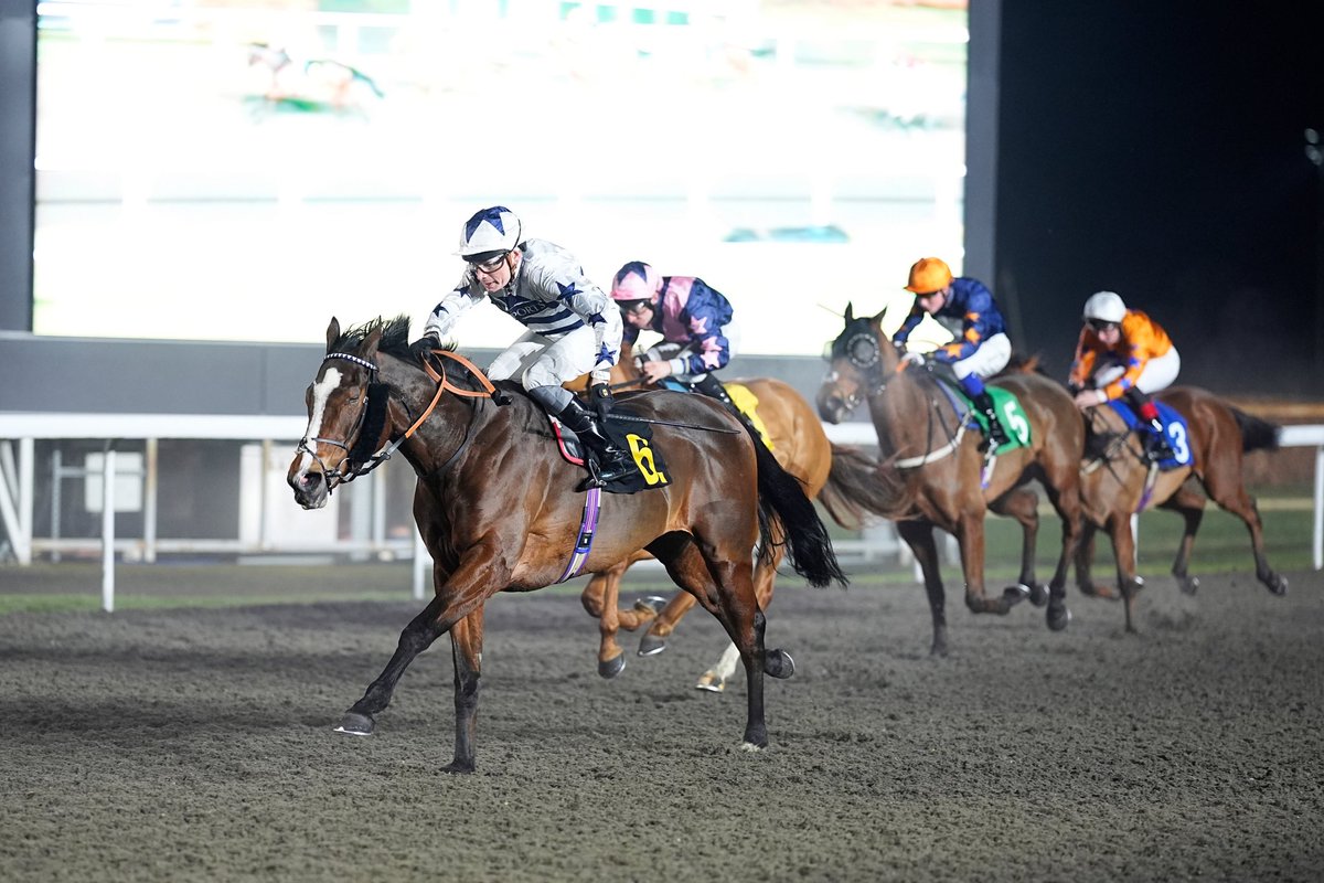 Basher Watts tweet media