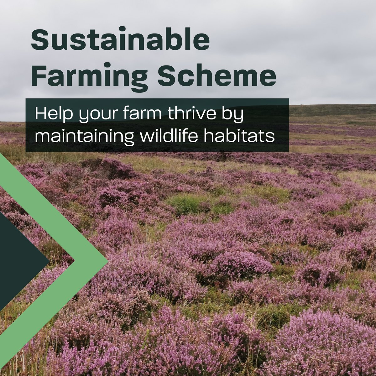 Welsh Government Rural Affairs tweet media