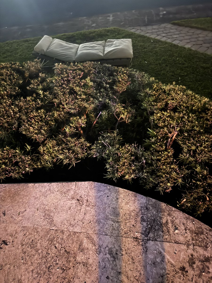 phil_hellmuth tweet media