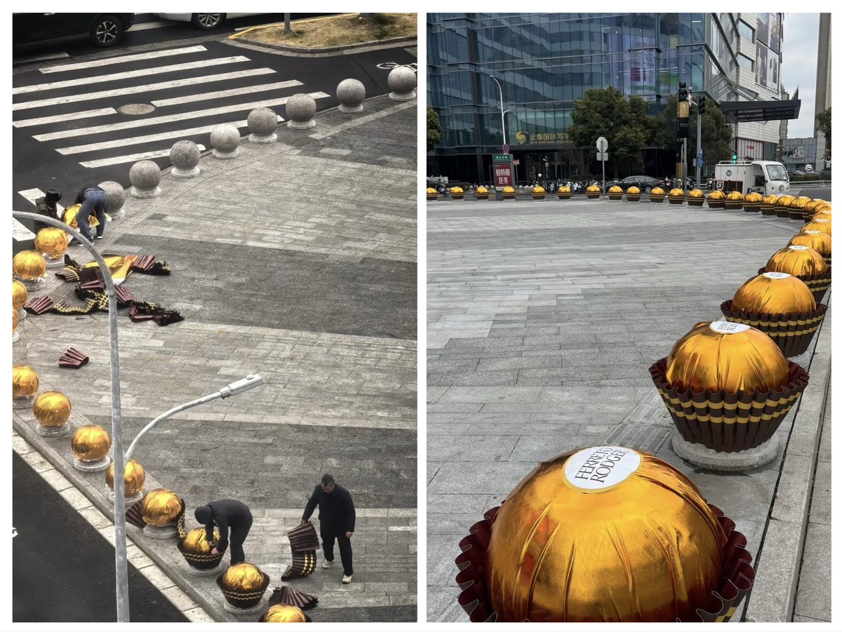 𝘿𝙈． tweet media