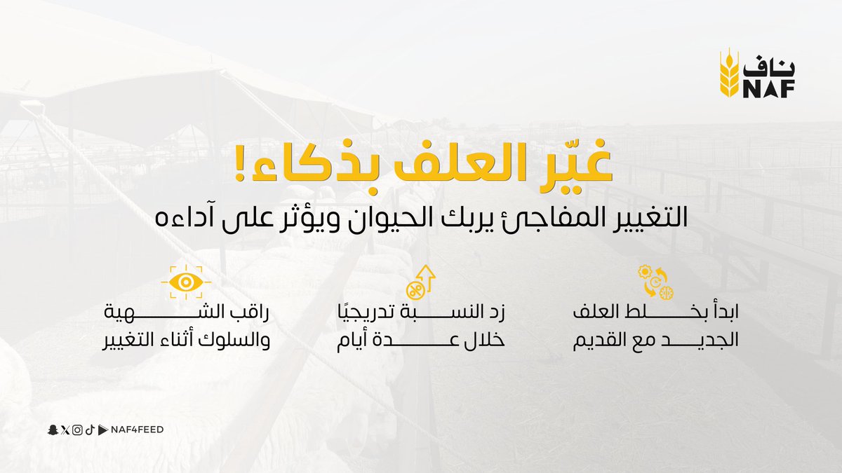 شركة ناف لصناعة الأعلاف tweet media