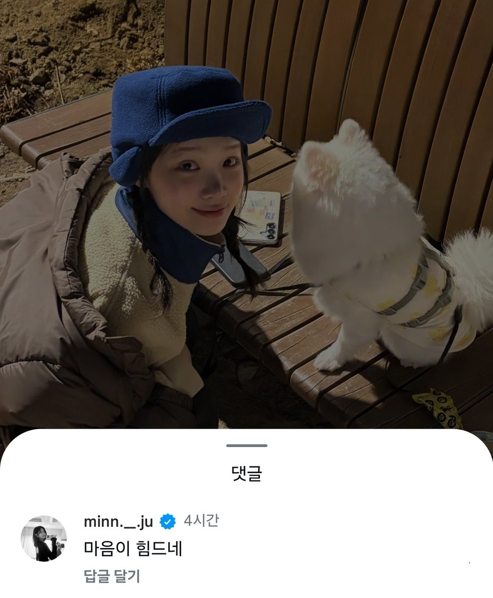 채원이 인스타 민주 댓글
🤍 마음이 힘드네