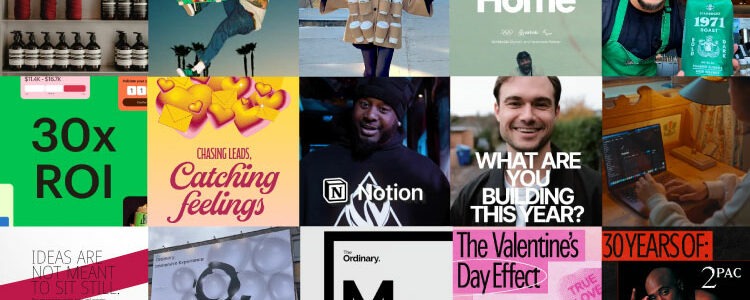 DesignMantic tweet media