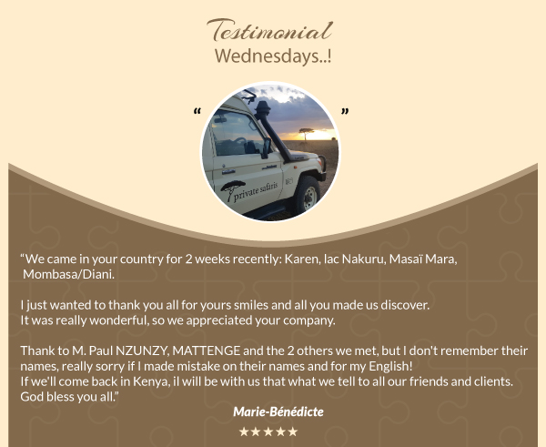 Another happy note from our happy safari clients:✍️😄
#happy #safariclient #customerservice #testimonialwednesdays