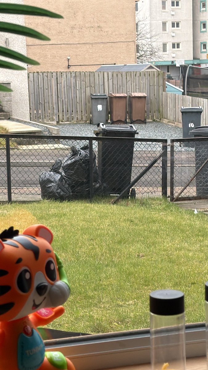 TheWestIsAwake tweet media