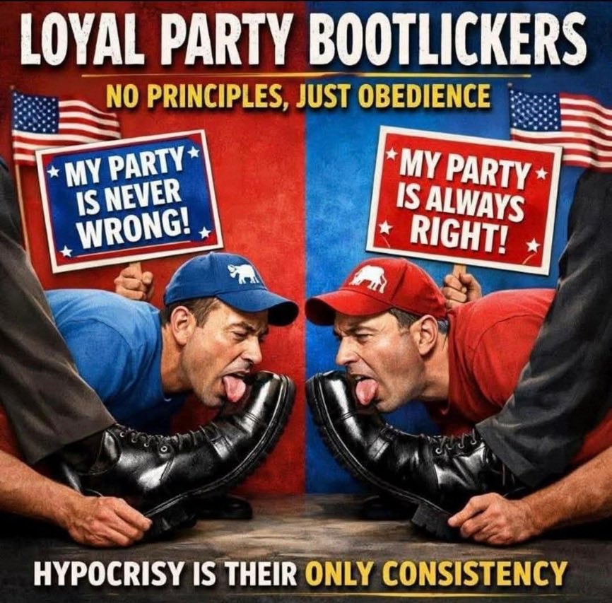 ToyBoat2.0 tweet media