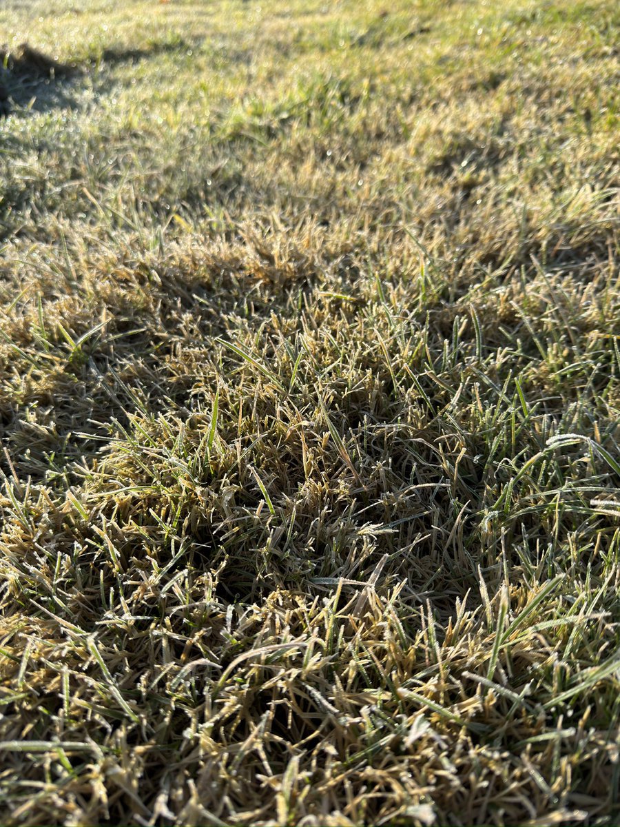 FRD490's tweet image. Good morning
#meadow #frdcdxc