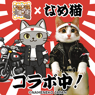 元祖なめ猫公式アカウント (@reiwa_nameneko) / Posts / X