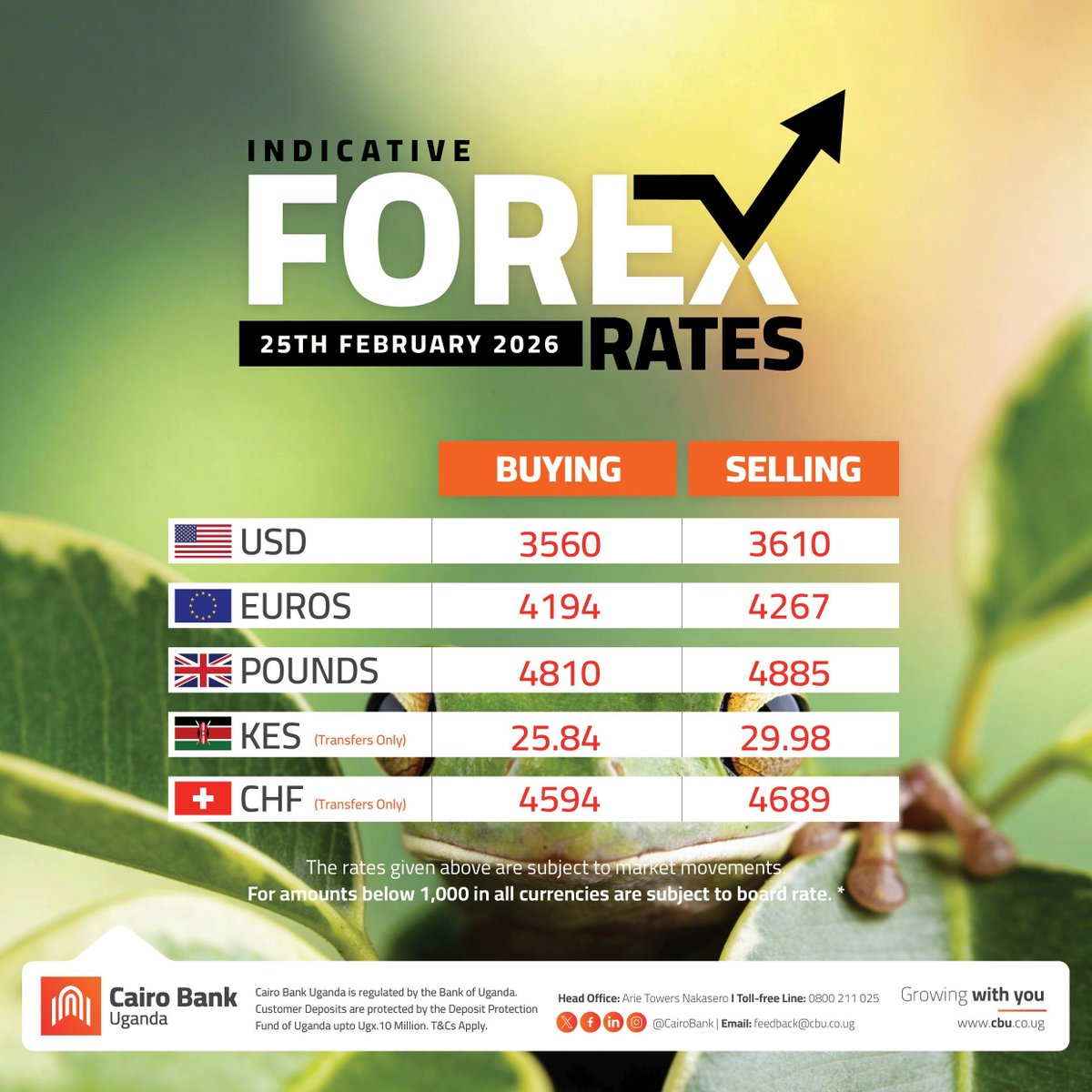 Forex Rates | 25 February 2026
The rates given are subject to market movements ⚠️❗️

#CairoBank #ForexExcellence #CurrencyCBU