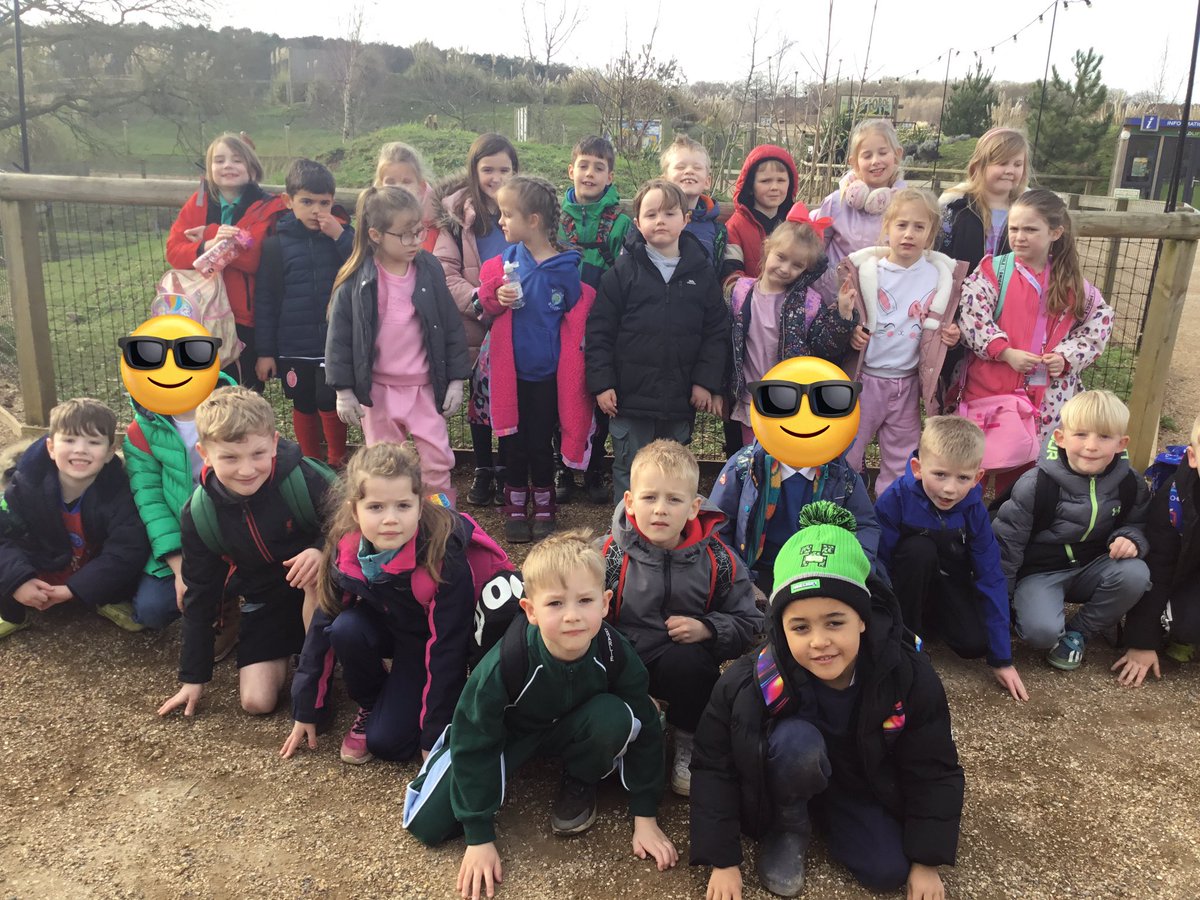 Y2Auckleyschool tweet media