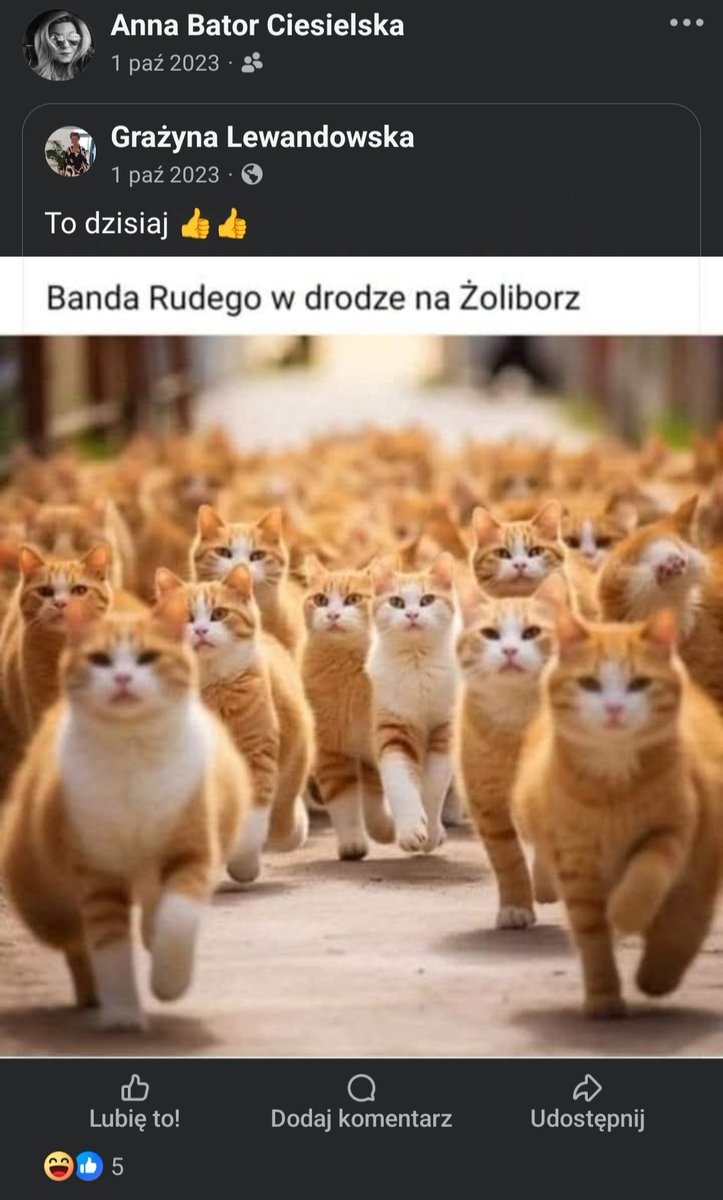 Zażalenie na postanowienie o tymczasowym aresztowaniu <a href="/ZiobroPL/">Zbigniew Ziobro | SP</a> rozpatrzy sędzia Anna Bator-Ciesielska. Tak się wylosowało: