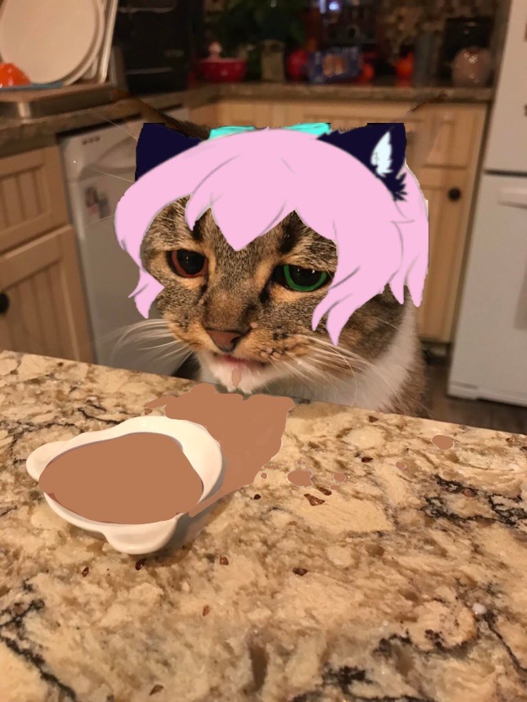 The Nekomeowncer ~ VTuber- COMMS OPEN tweet media