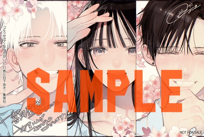 どうせ泣くなら恋がいい 11 MC「どうせ泣くなら恋がいい」11巻×マーガレット6or7号連動企画