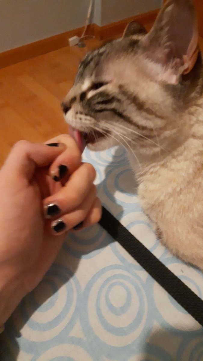 Hoy harías 16 añitos
Te echamos de menos