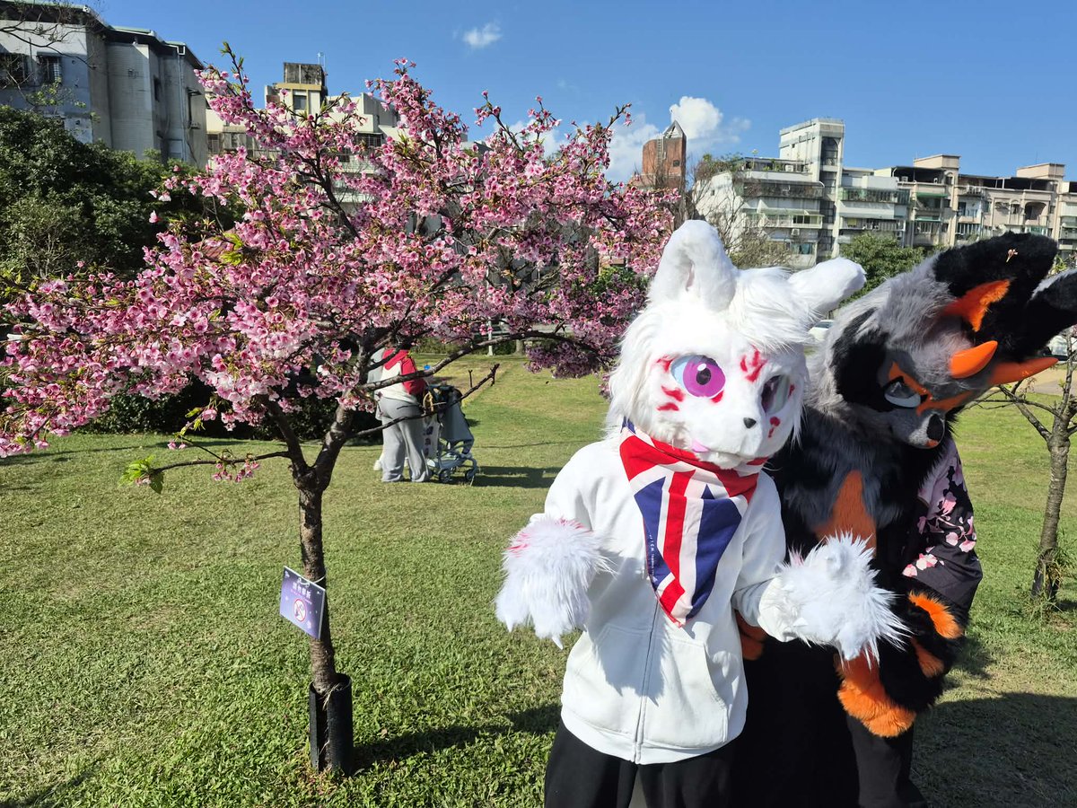 Fancxy Fox(狐幻) tweet media