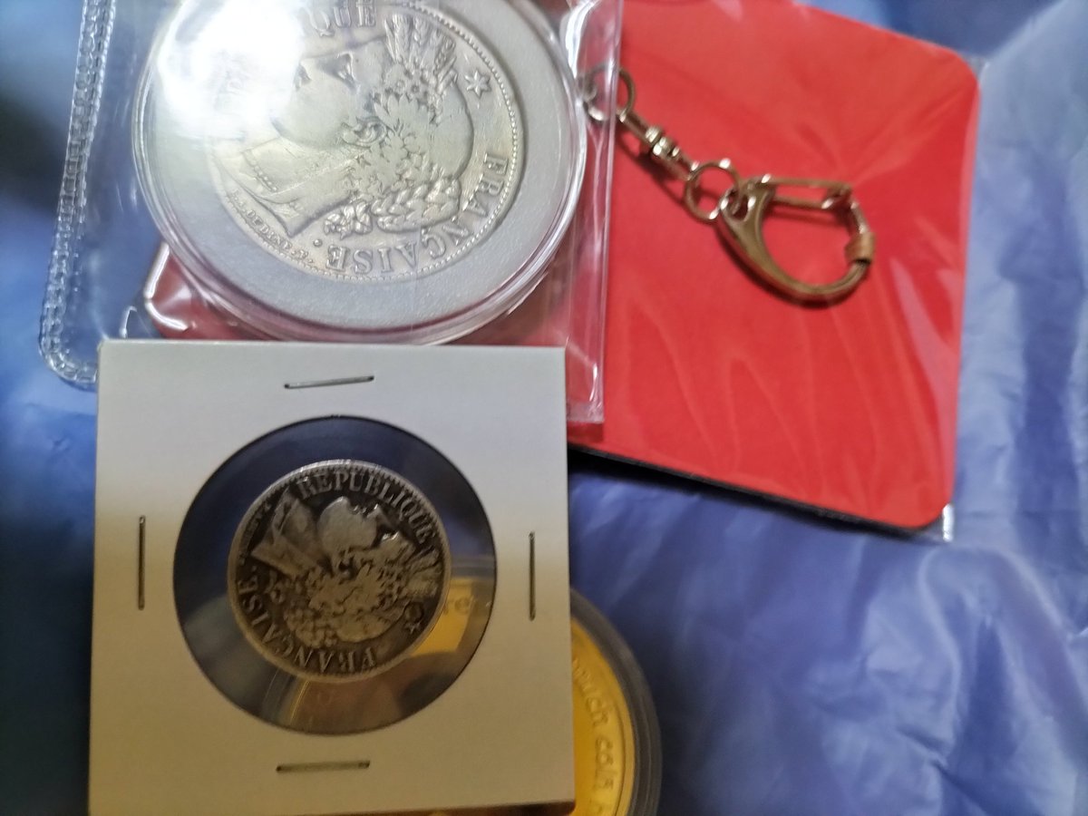 過酷な株式トレードが終わったらコインタイムです😊コインや動物は癒