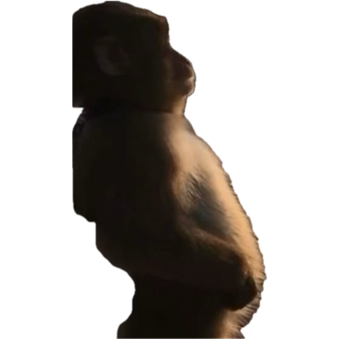 __3689__'s tweet photo. im deadass tho https://t.co/2nXJ2ZUjtE