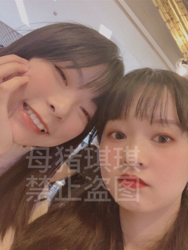 母猪琪琪 tweet media