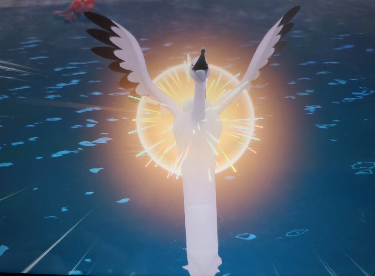 Hunting for a shiny Crawdaunt... phased with this.